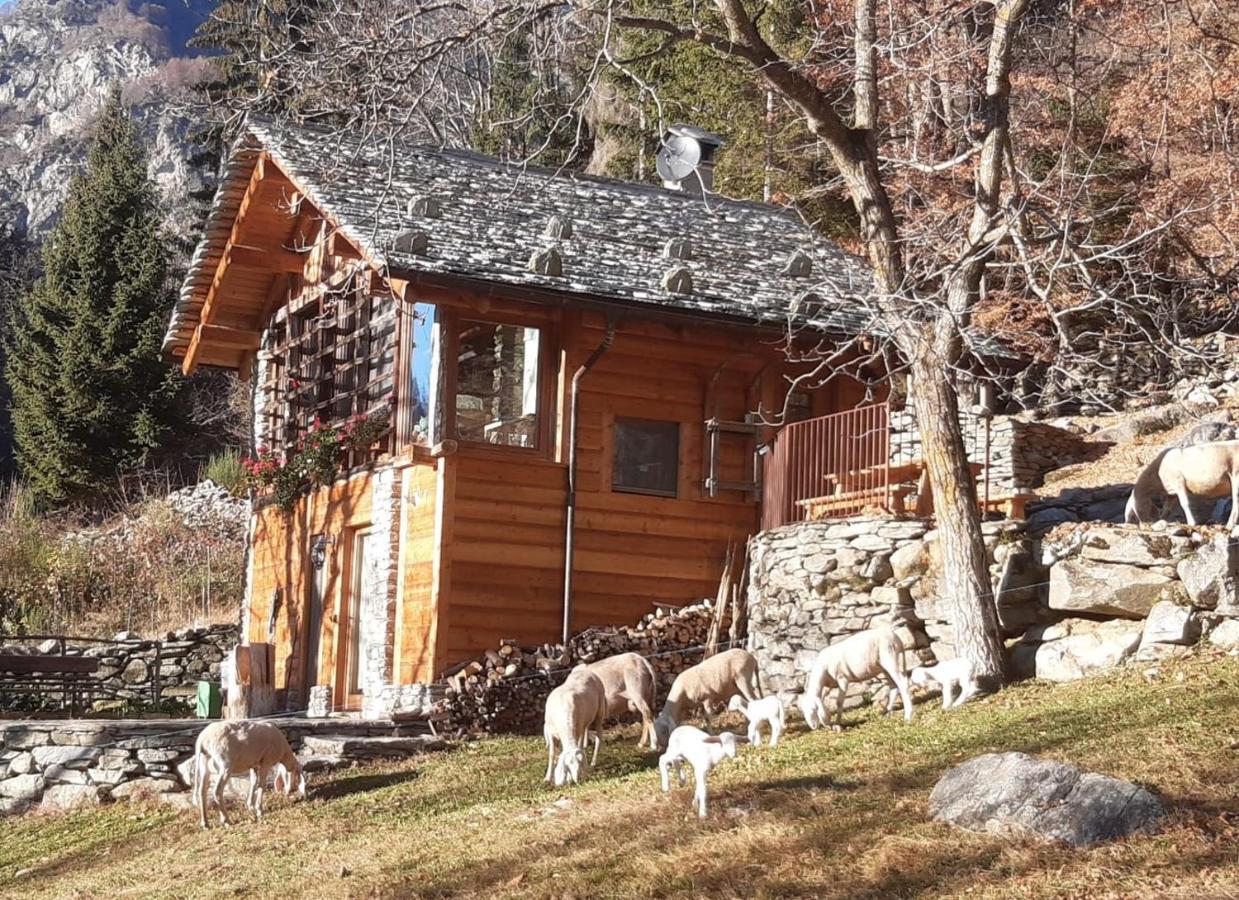 Baita del noce Mollia Esterno foto