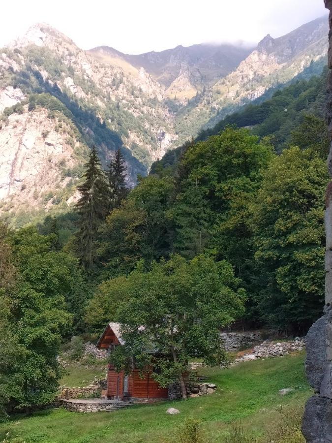 Baita del noce Mollia Esterno foto