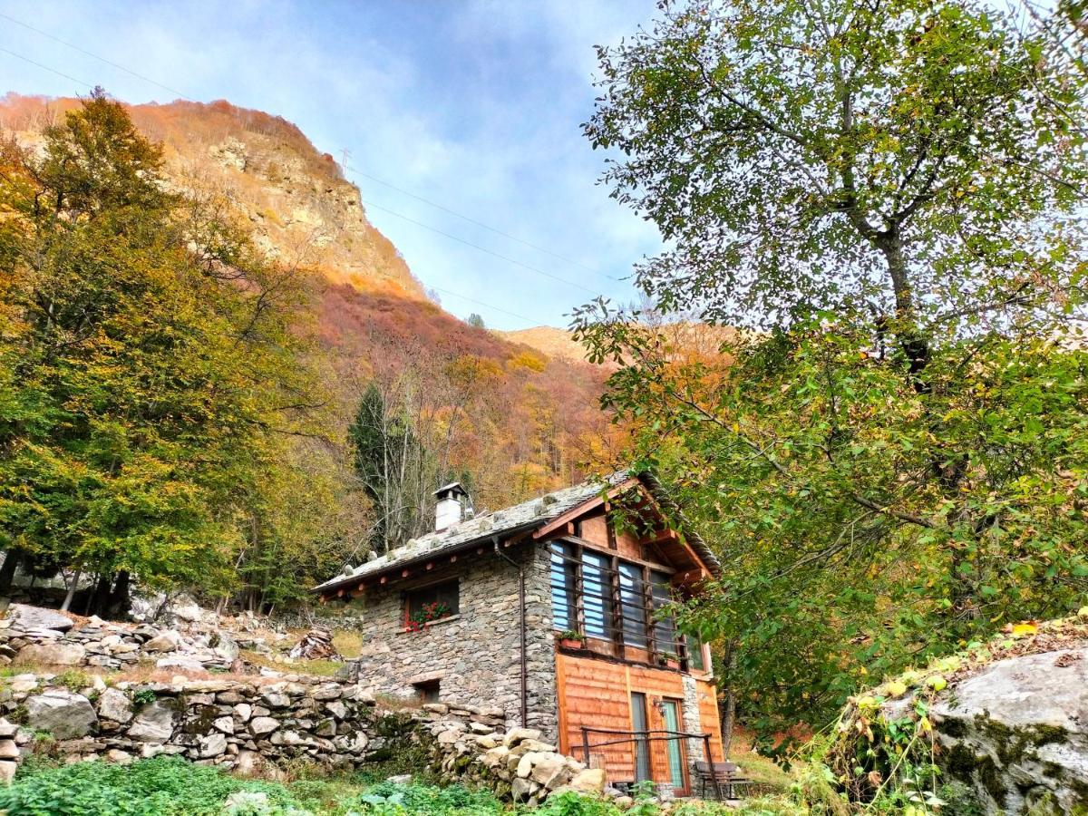 Baita del noce Mollia Esterno foto